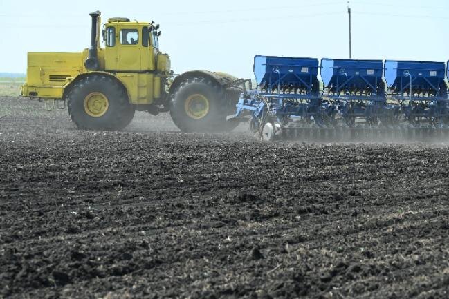 Фото: Людмила Ковалева, из архива редакции