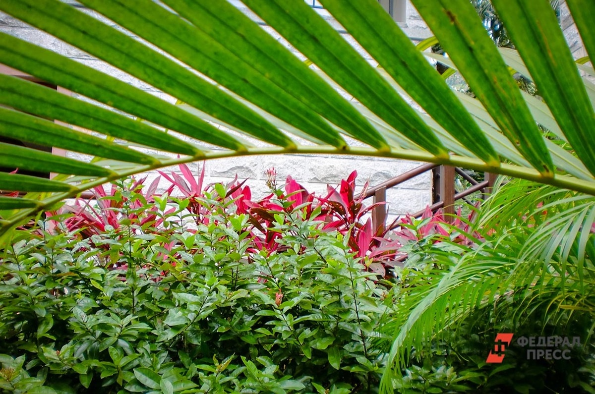 Туры на праздники обойдутся дешевле, чем самостоятельные поездки.  Фото: Фото: ФедералПресс / Дарья Сеймовская