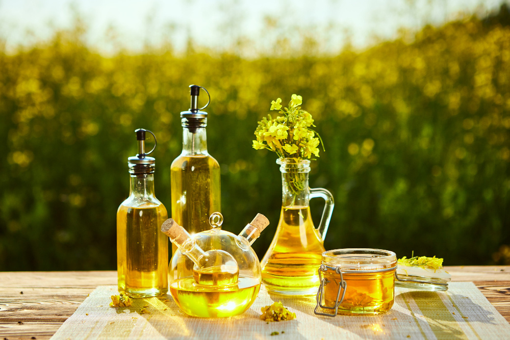 Фото: Bondvit90 / Freepik