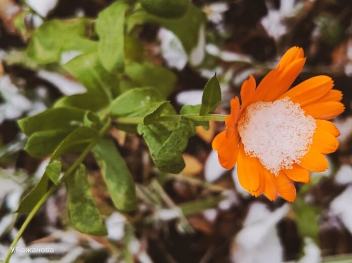    Фото: Ульяна Бажанова