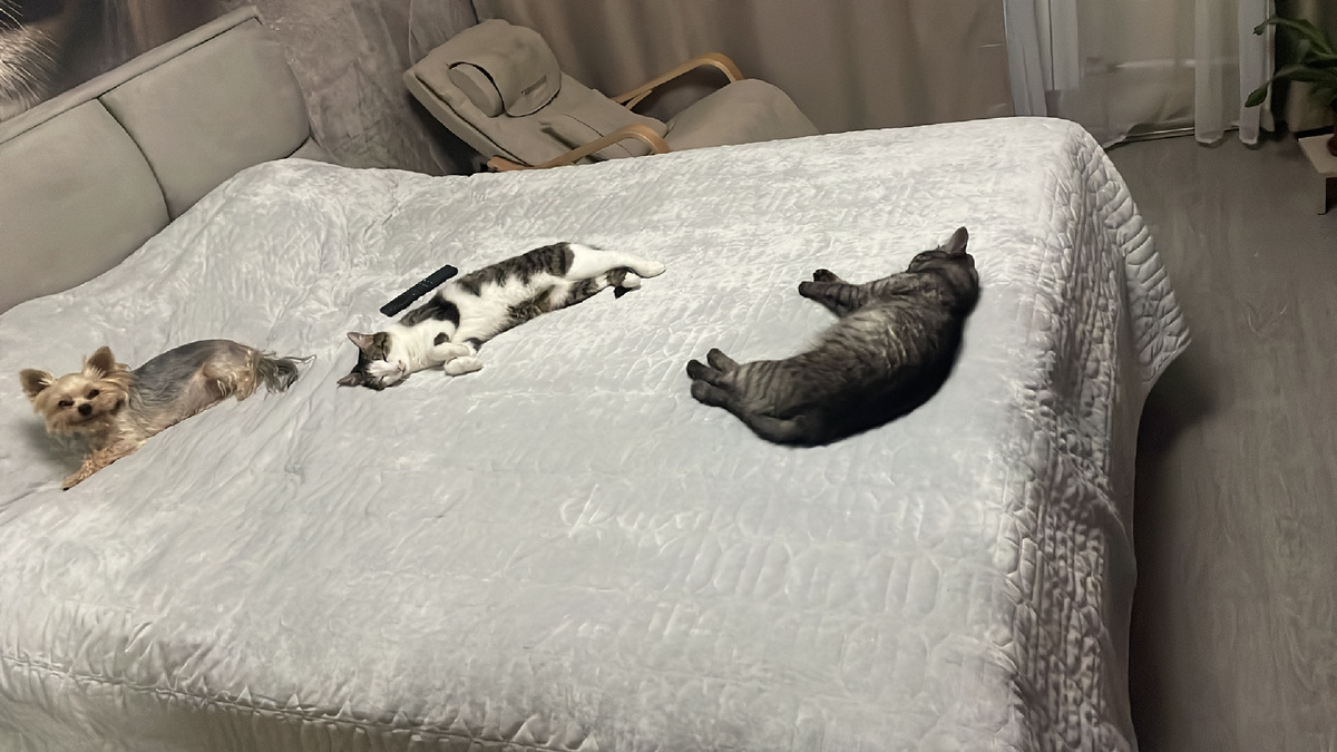 Люся слева Василий справа