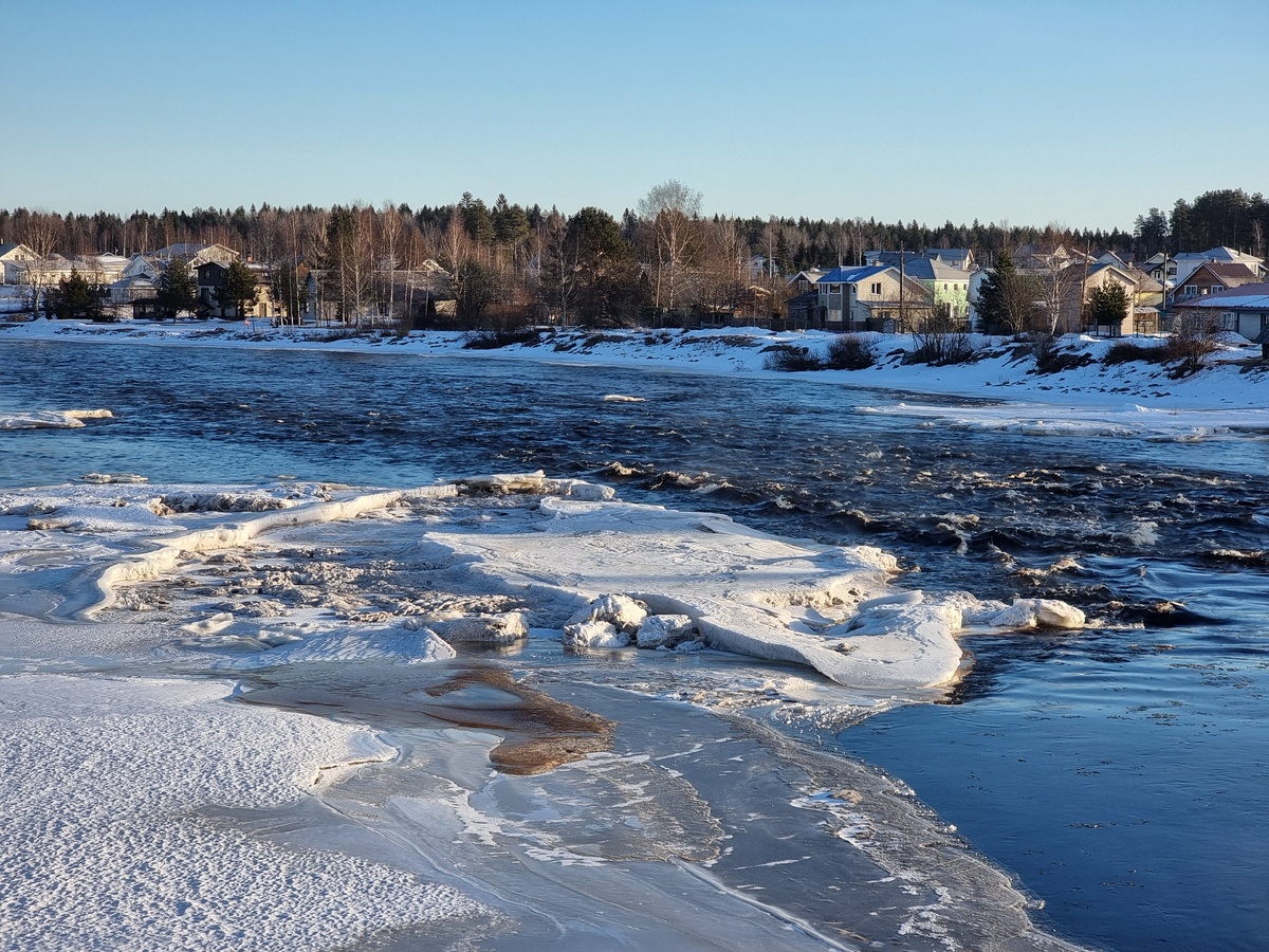    Ирина Яковлева