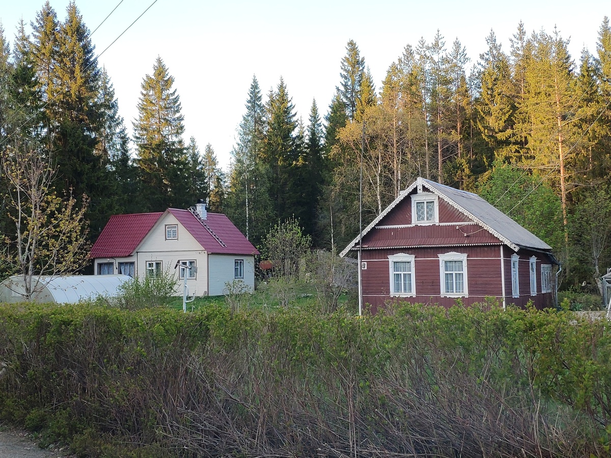    фото: © Столица на Онего