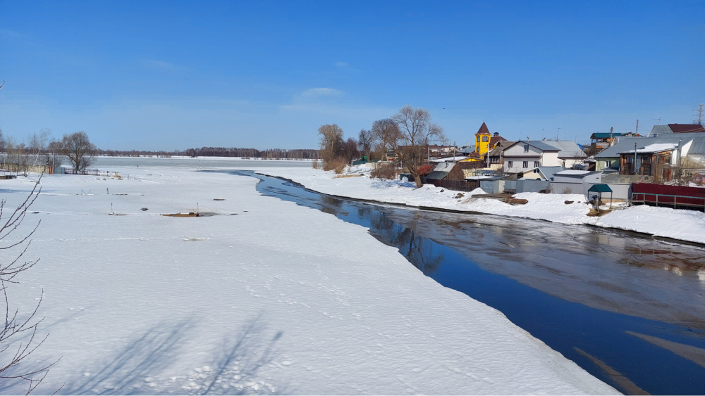    grad.kostroma.gov.ru