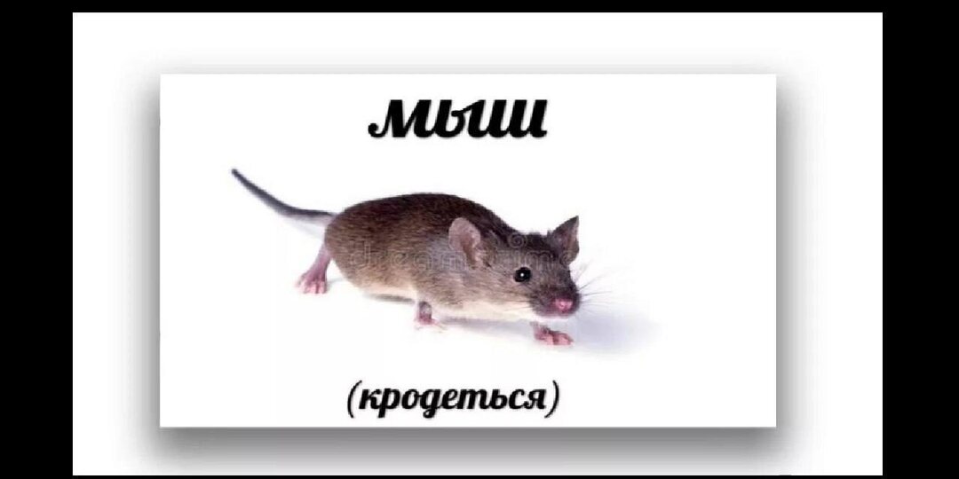 "Такой хлев и за ноль рублей не нужно". Пришло время написать вторую серию о нелестных комментариях на моем канале