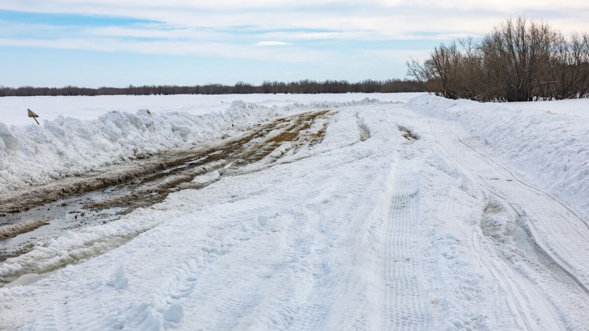    Фото: Александр Чирва/«Ямал-Медиа»