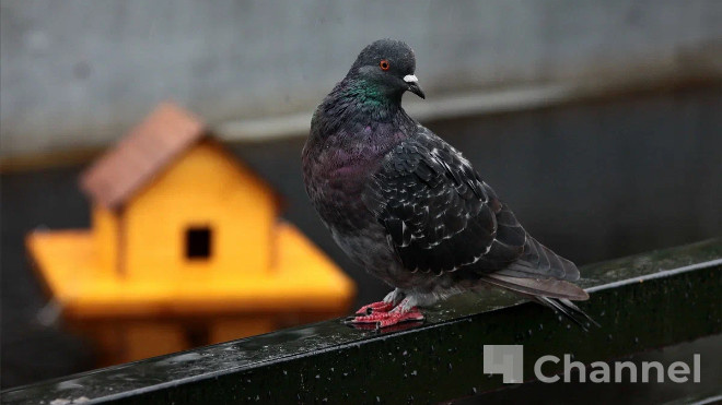 Фото: Анастасия Илюшина/47channel, архив