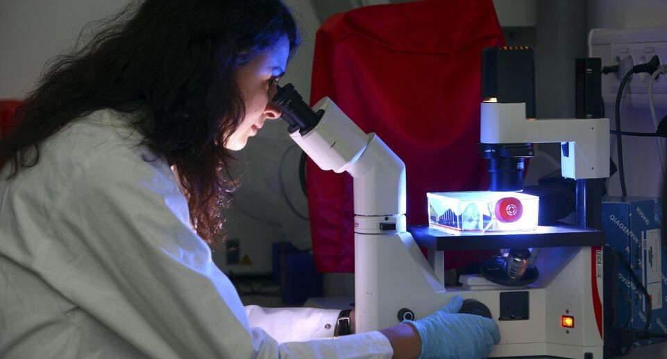    Jochen Tack/imageBROKER.com / www.globallookpress.com