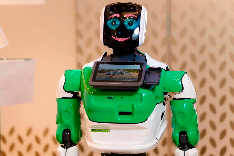 Робот консультант