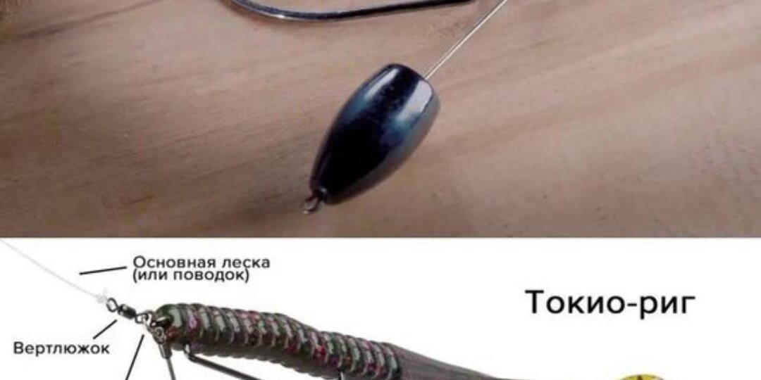 🎣 Токио-риг: Японская хитрость для ловли хищника