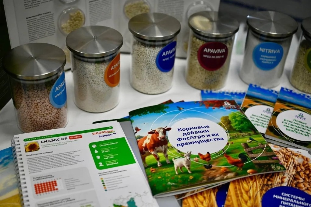 Фото: Павел Васильев