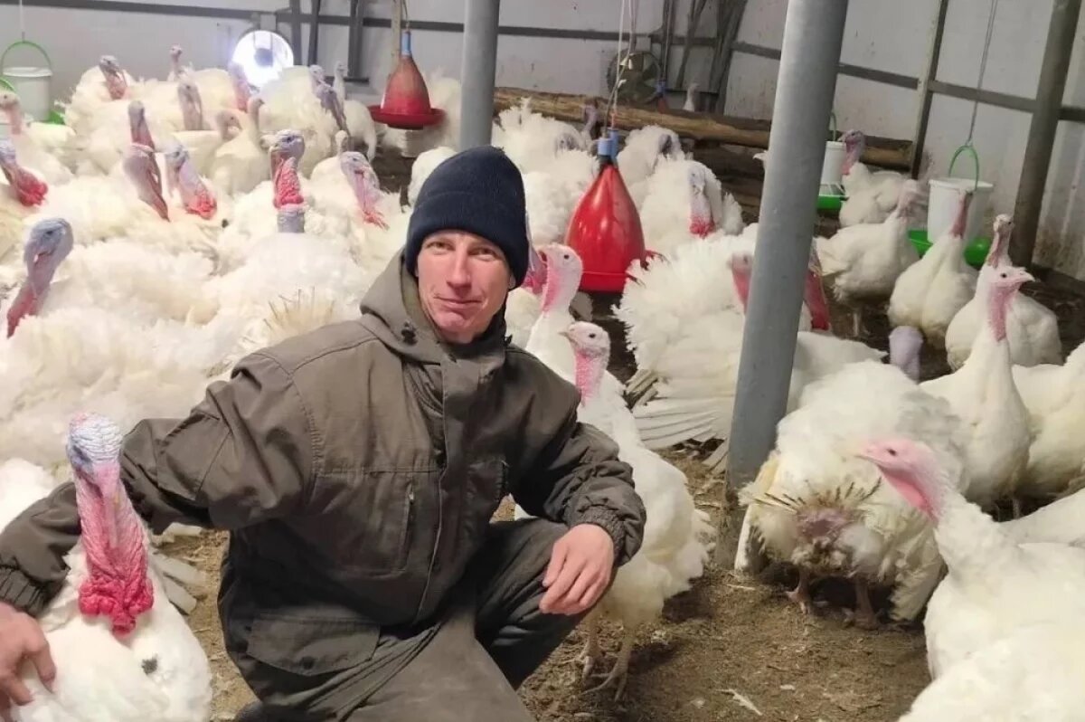    Сахалинский фермер за год произвел более 10 тонн индейки