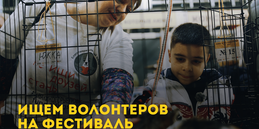 Ищем волонтеров на фестиваль-пристройство