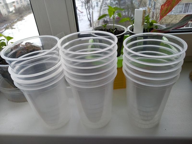 Тара для пикировки