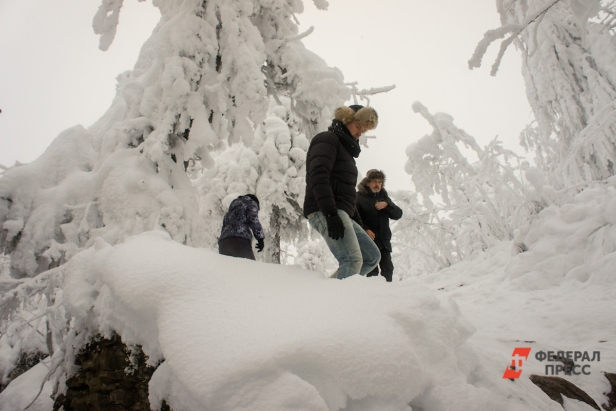 К поисковым мероприятиям были привлечены спасатели, сотрудники МЧС, полиция и волонтеры.  Фото: ФедералПресс / Дмитрий Барков