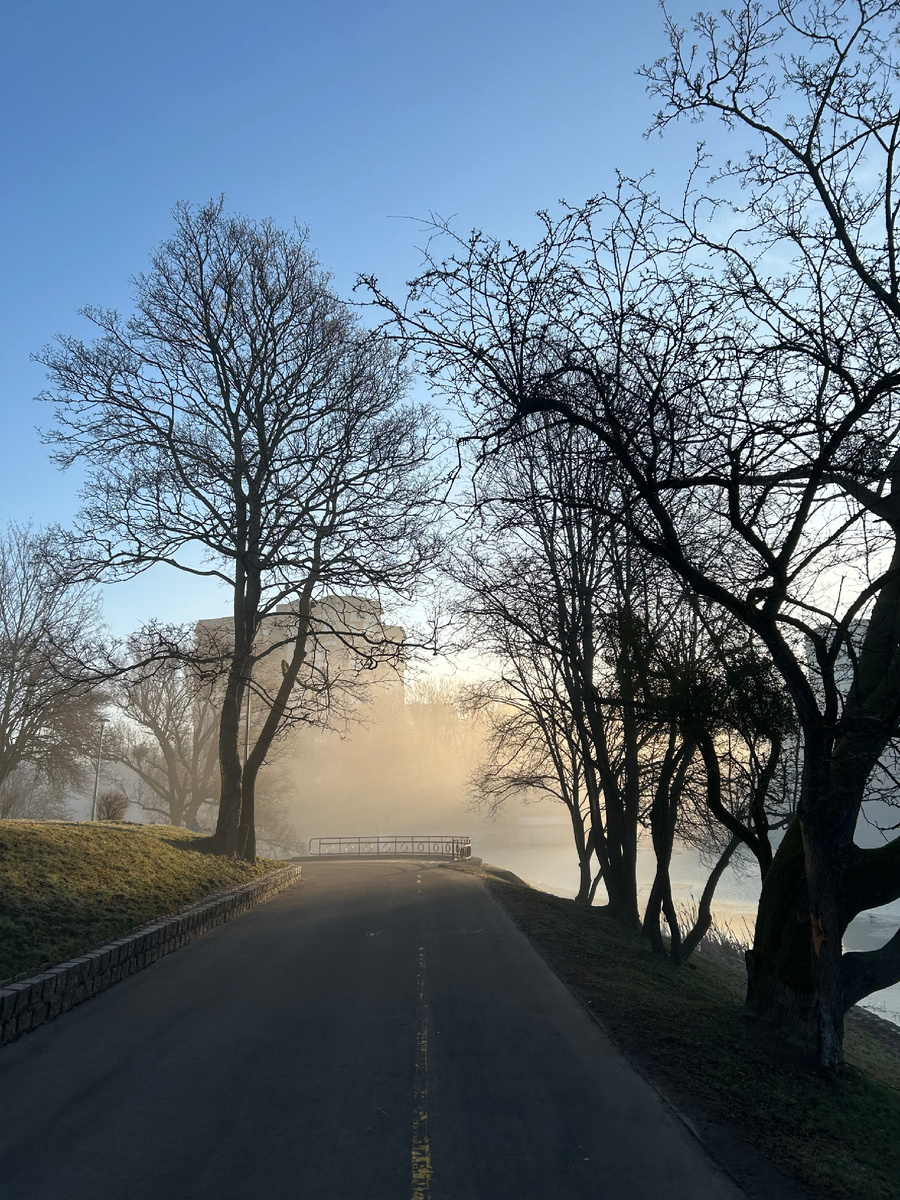 Утром в марте по пути в школу сказочно!