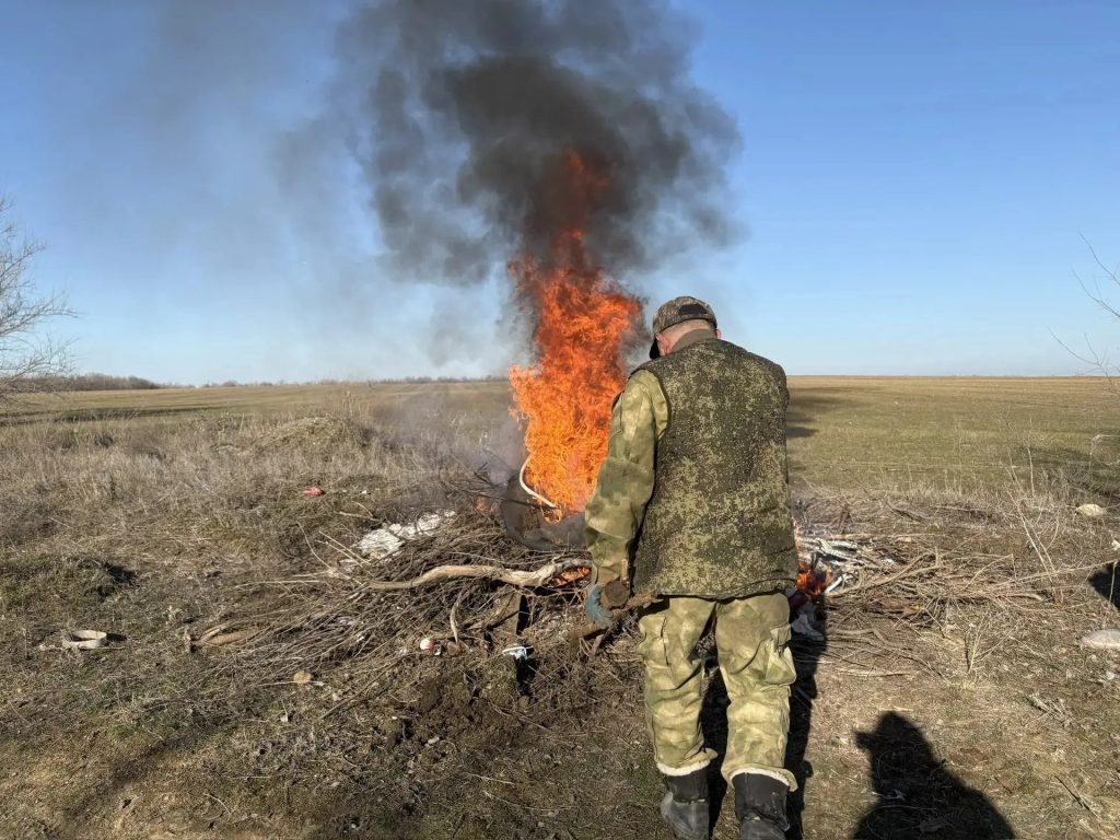 Фотографии предоставил Н.Нефёдов. Нажмите на снимок, чтобы увеличить его. Диана Огнева  📷

