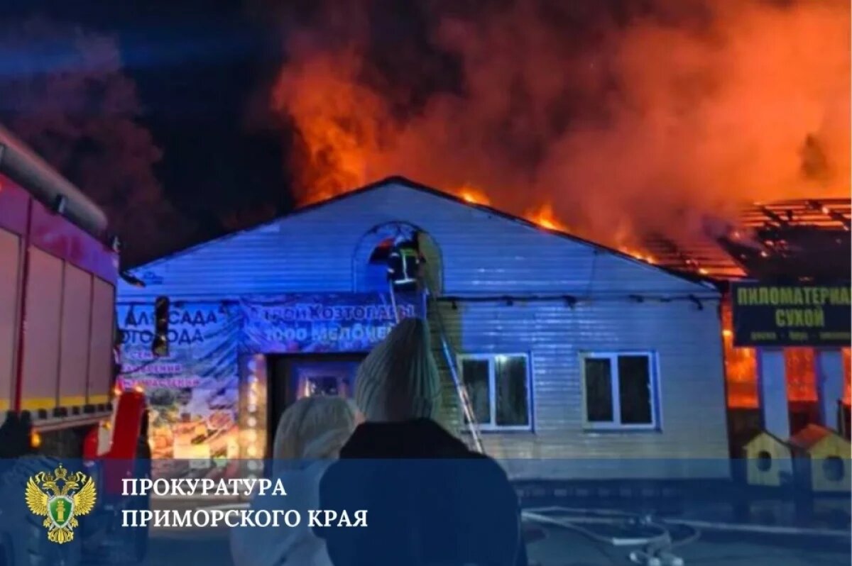    Подозреваемого в поджоге магазина пиломатериалов отправили в СИЗО