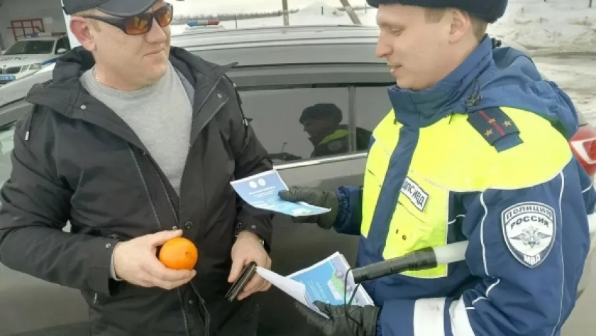    Госавтоинспекция МВД России