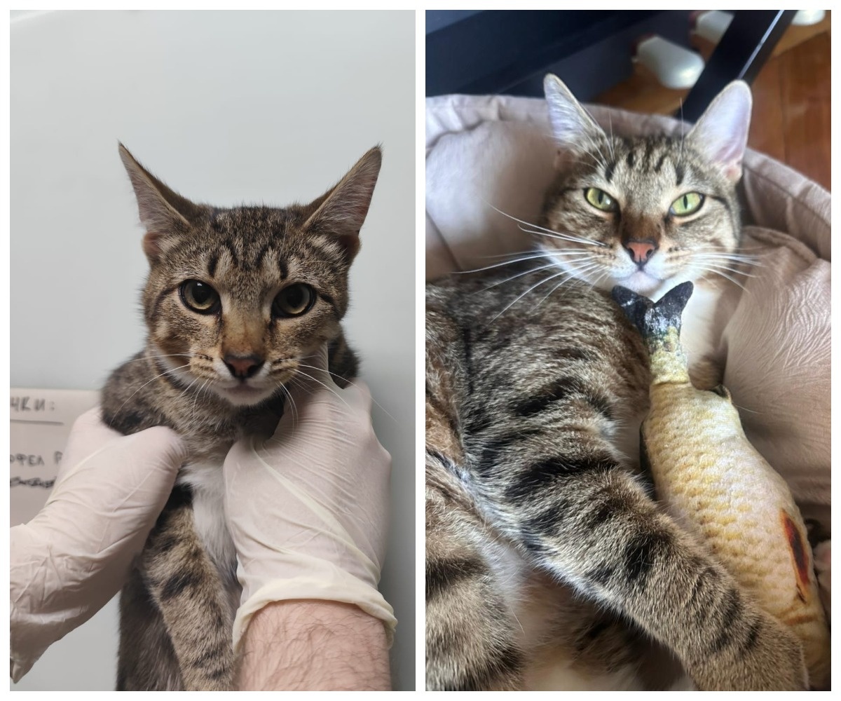 Румат – выпускник приюта.