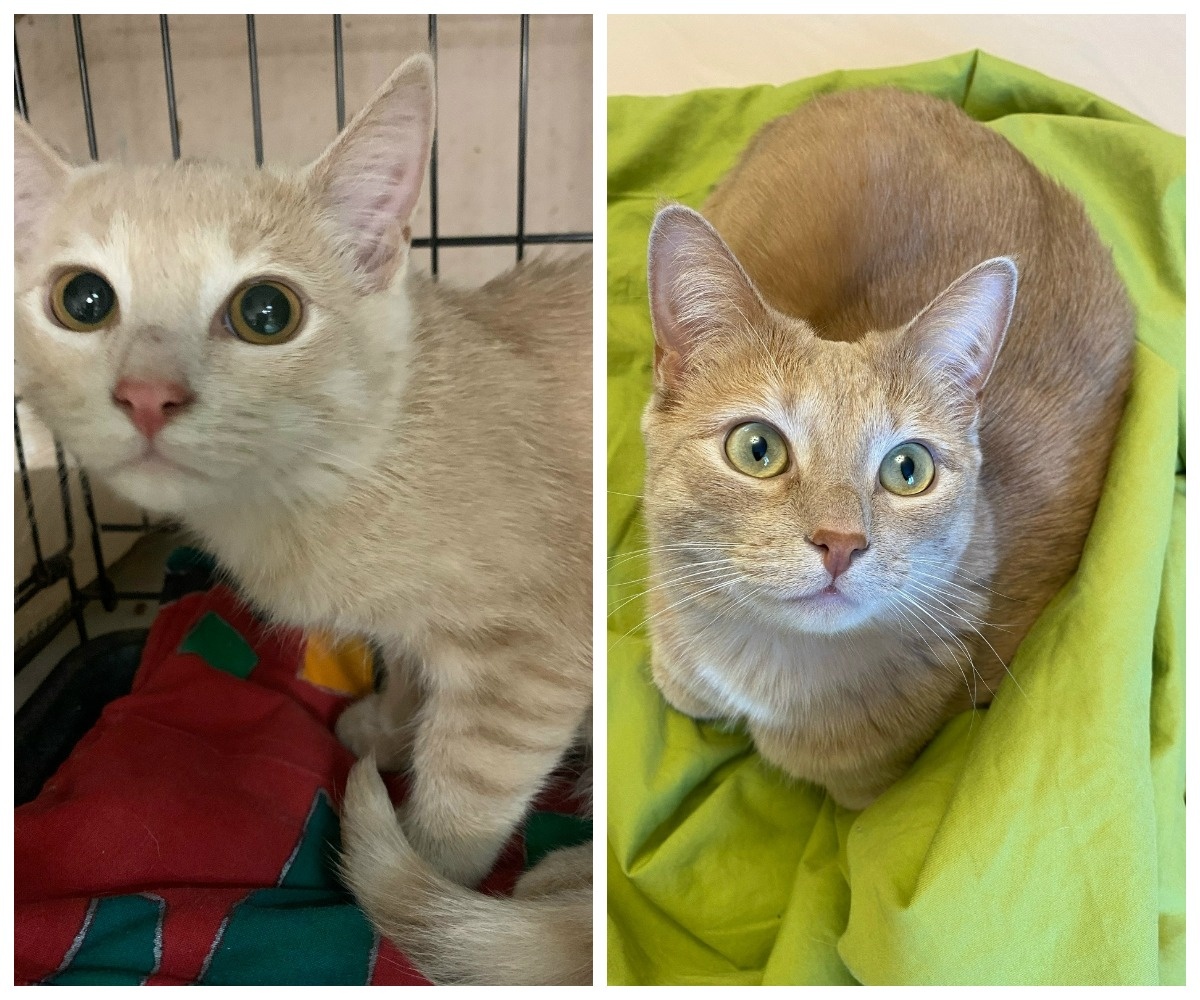 Заклёпкин – выпускник приюта.