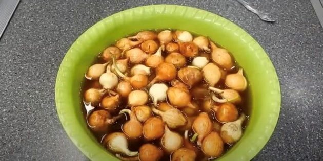 Замачивание перед посадкой — не лишний шаг, а обязательный