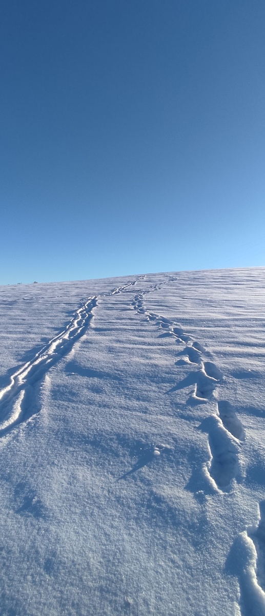 Безмятежность, свобода и единение с пространством, это то что чувствовалось там 
