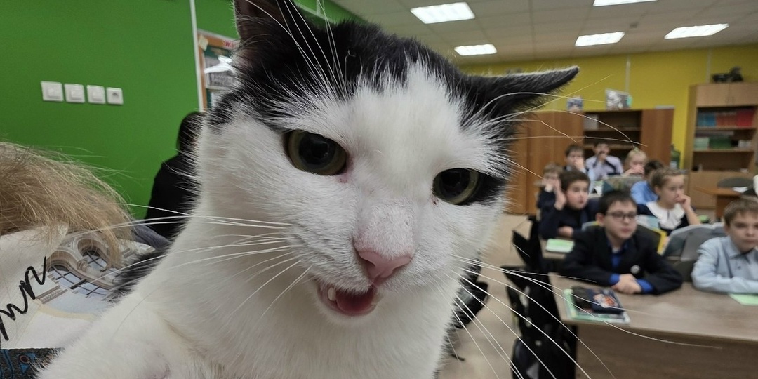 Благодаря вашей поддержке мы идём к своей большой мечте — к городу, где меняется отношение к животным