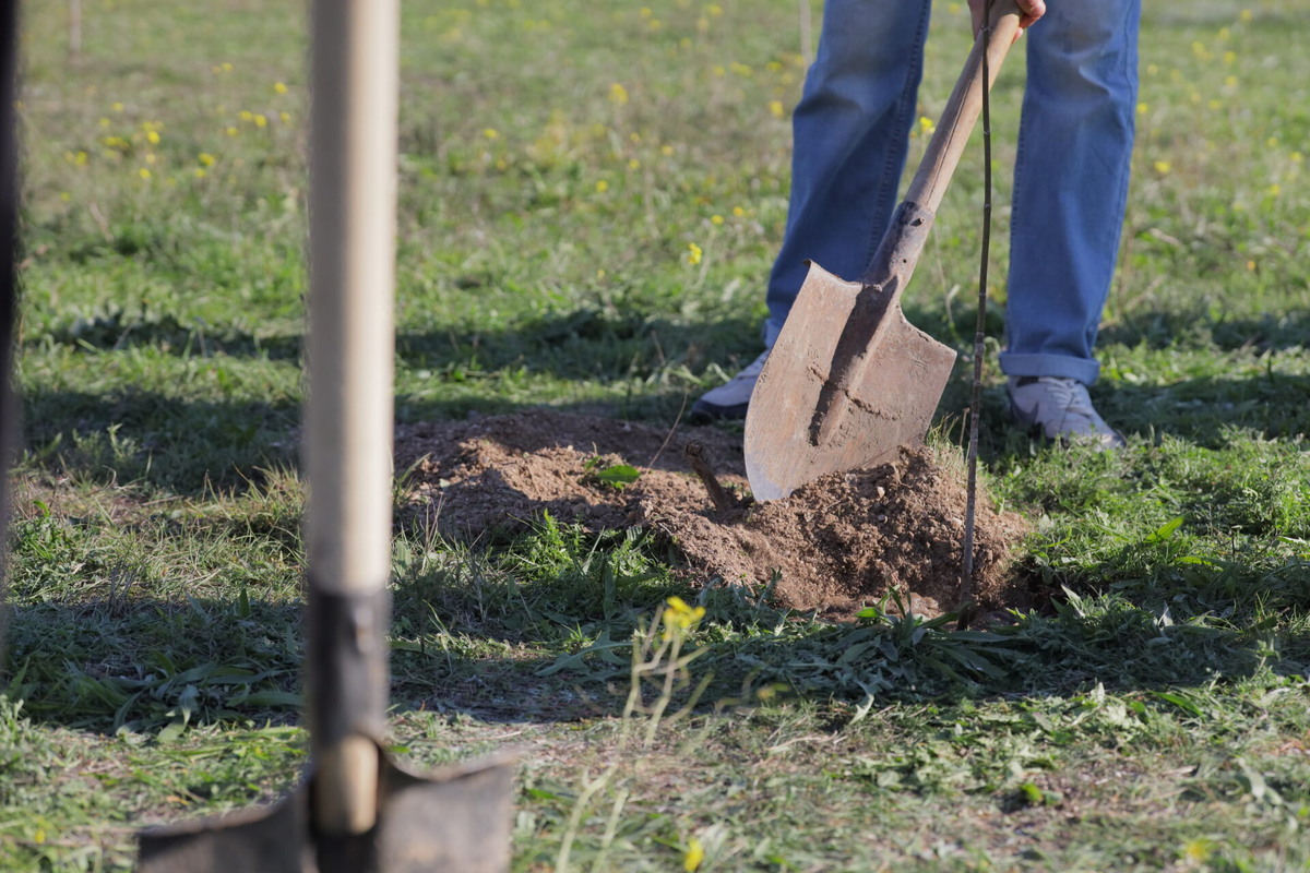    Фото: ТРК «Таврия»