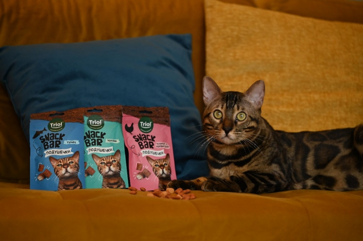 На фото – мини-подушечки с разными вкусами из серии SNACK BAR от бренда Triol