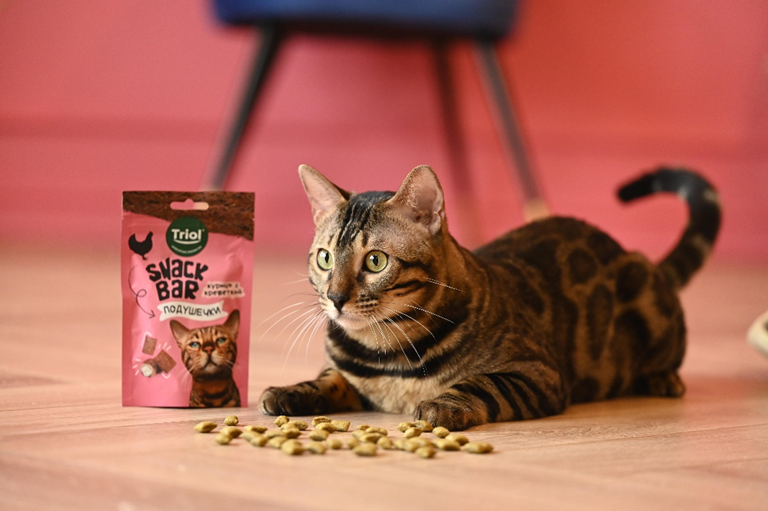 На фото – «Мини-подушечки с начинкой из курицы с креветкой», серия SNACK BAR от бренда Triol