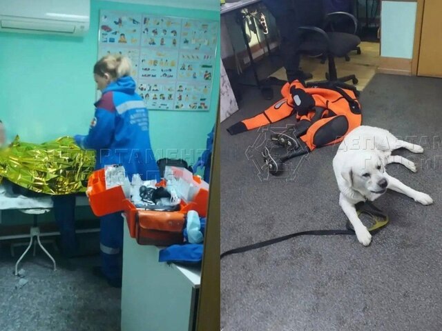    Фото: телеграм-канал "ЧСтные новости Москвы"