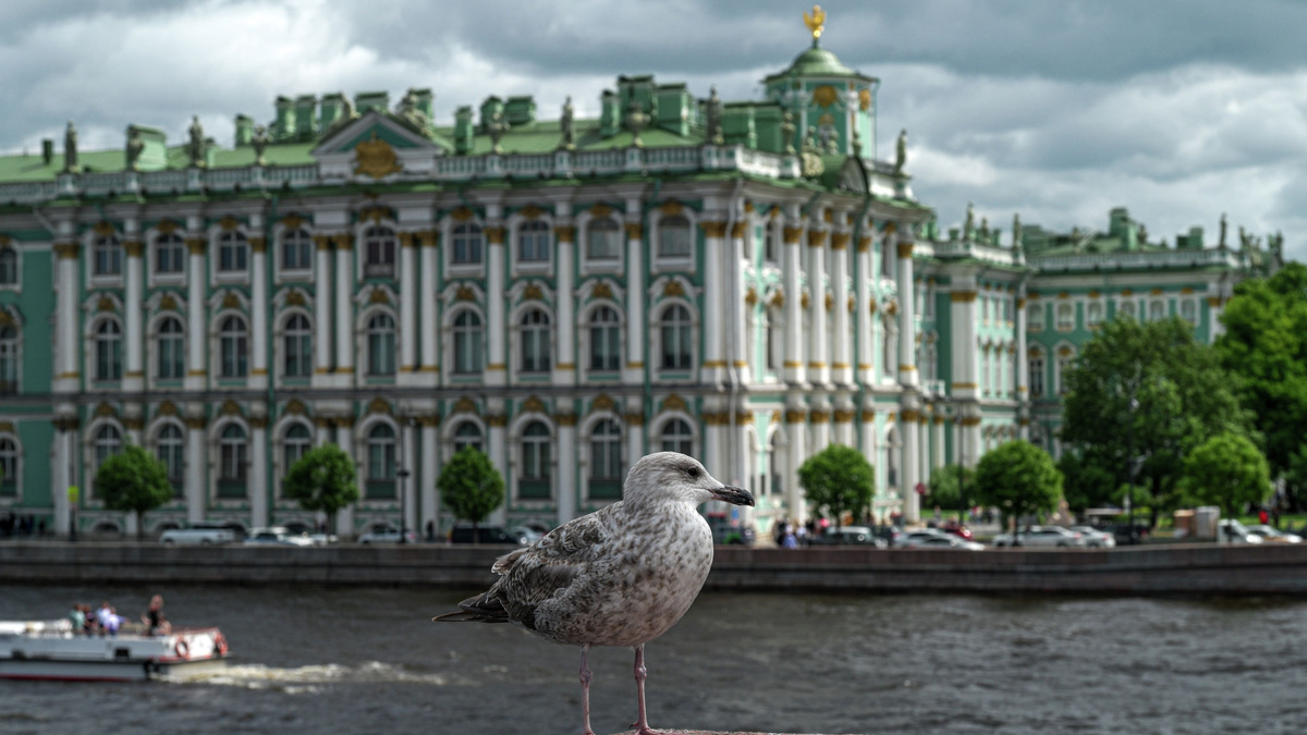    Санкт-Петербург лето Эрмитаж РИА