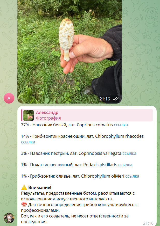 Пытаемся взять ориентир, на что похож гриб на фото? Навозник белый!