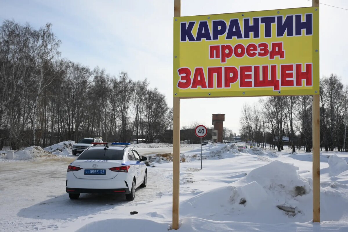     © РИА Новости. Александр Кряжев