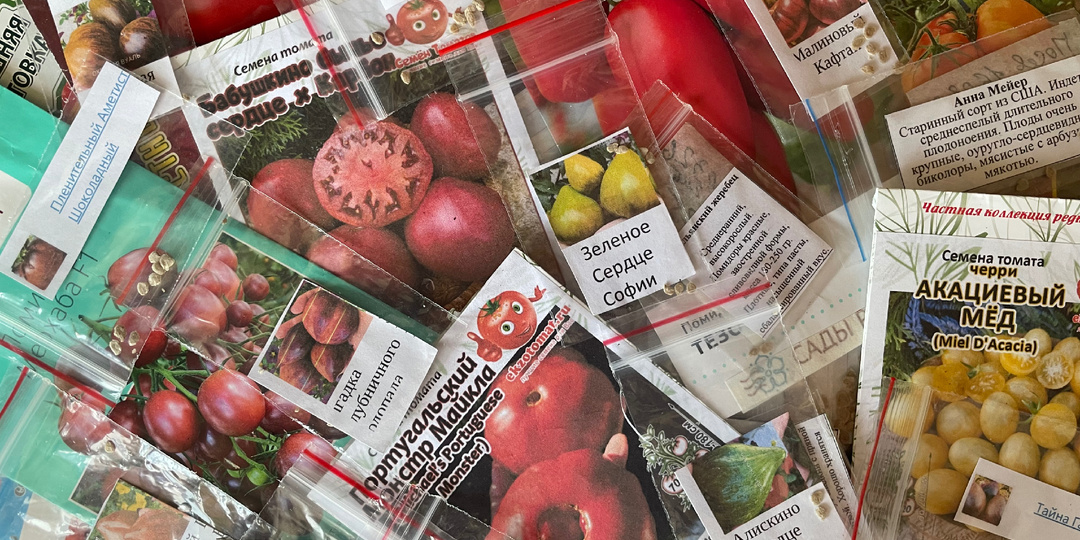 Посеяла томаты 17.03.2026. На 10 больше, чем планировала.