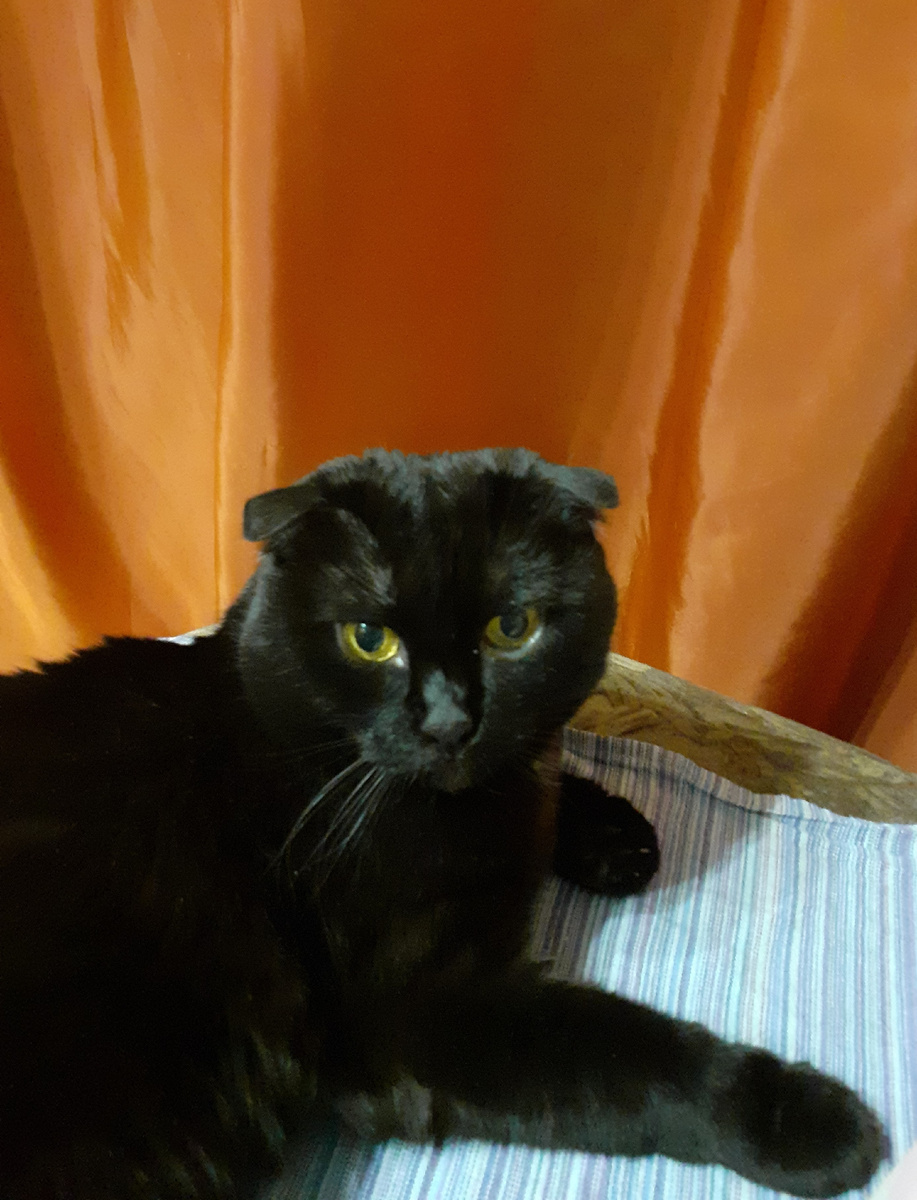 Фотография автора