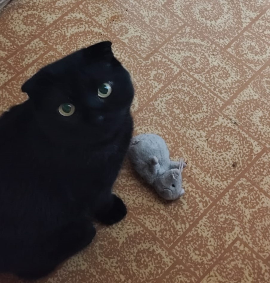 Фотография автора