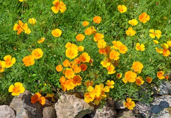 Источник фото shutterstock.com