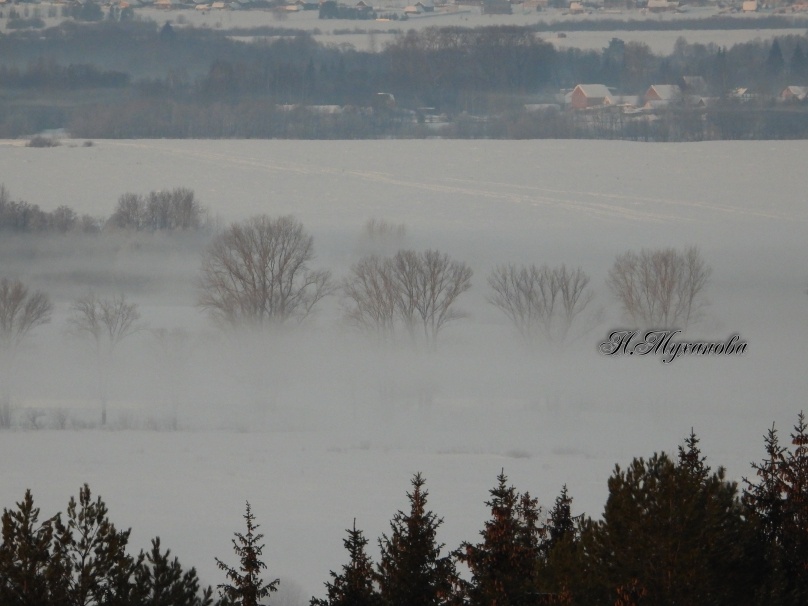 Туман у реки Чепца