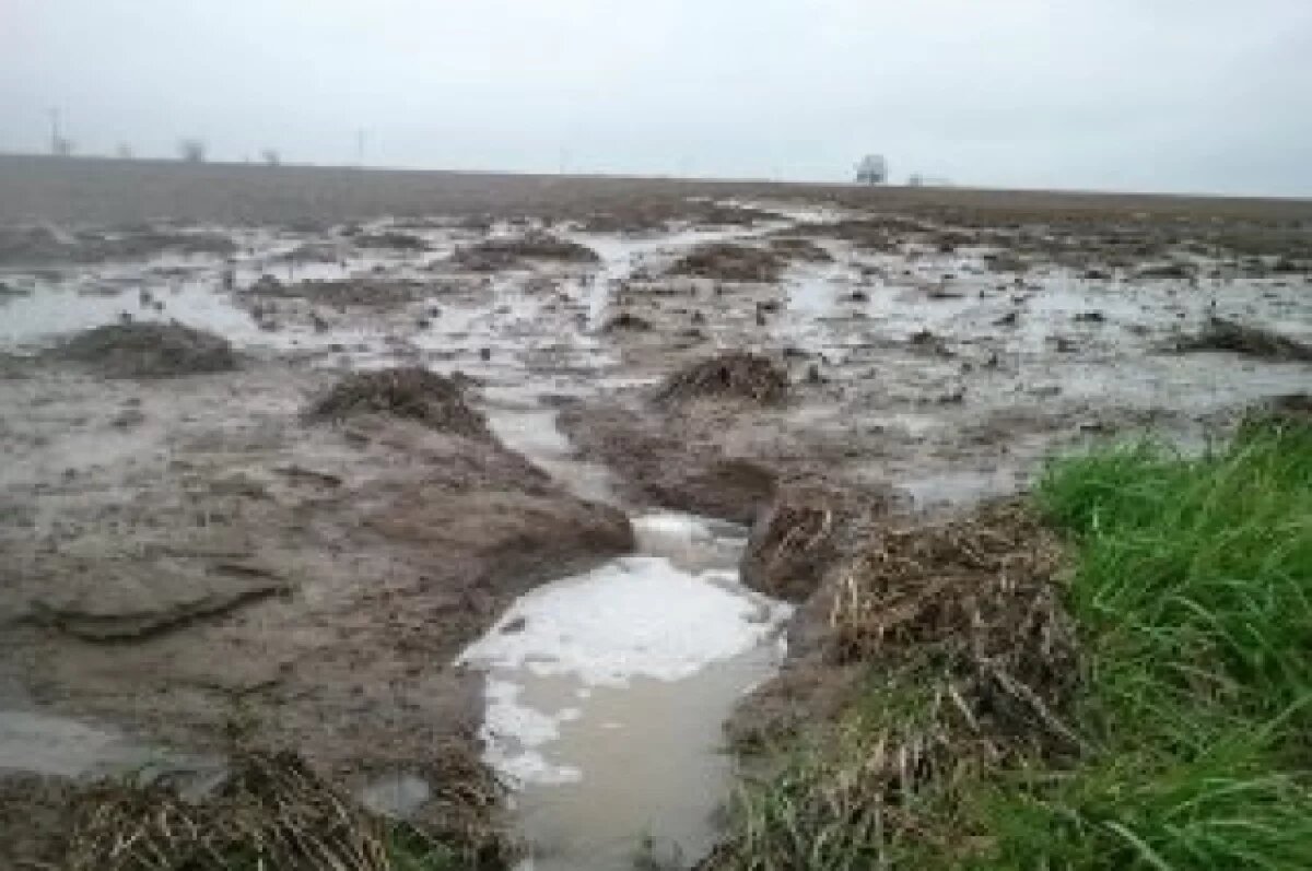    Челябинской области угрожает опасная эрозия почв после рекордной зимы