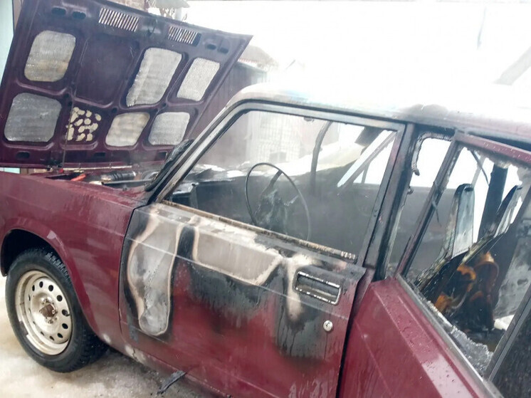     Фото: ОКУ «ППС Курской области»