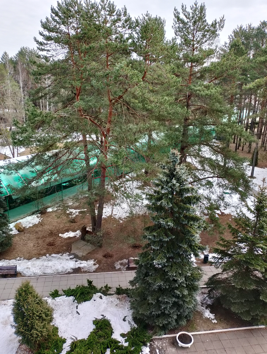 Фото автора.