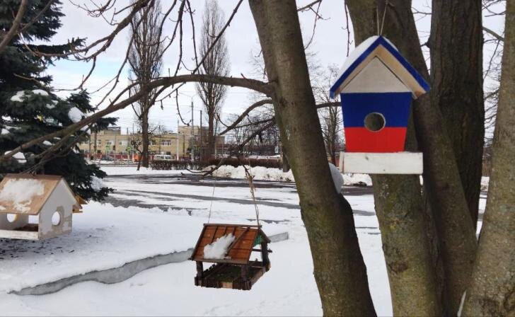    фото Курские известия