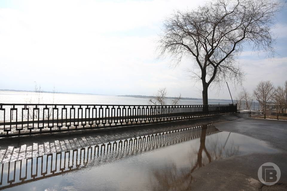    Фото: Дмитрий Рогулин / "Городские вести"