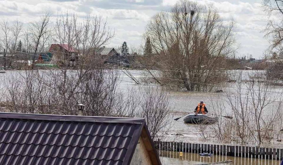     Половодье. Источник: perm.kp.ru Автор фото: Валерий Звонарев