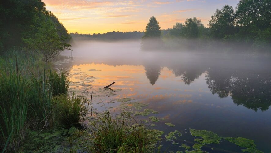 В Гидрометцентре РФ рассказали, когда в Татарстане ожидается половодье