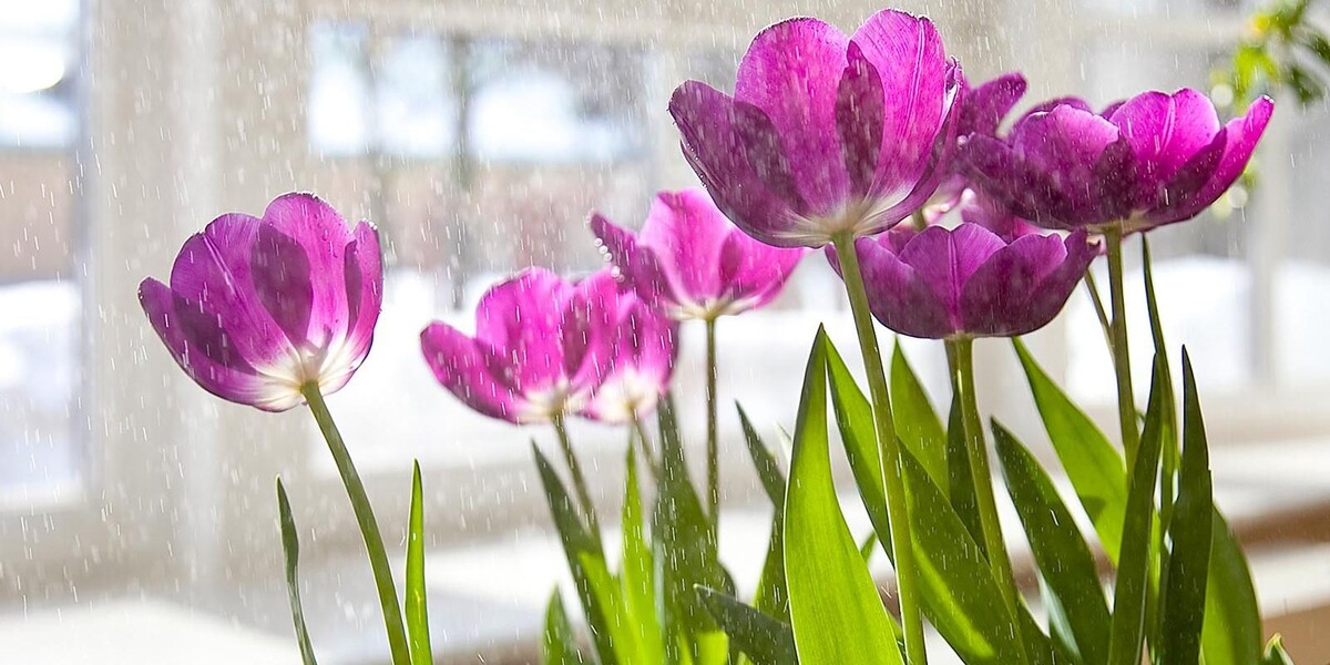 Фото: пресс-служба Департамента культуры города Москвы
