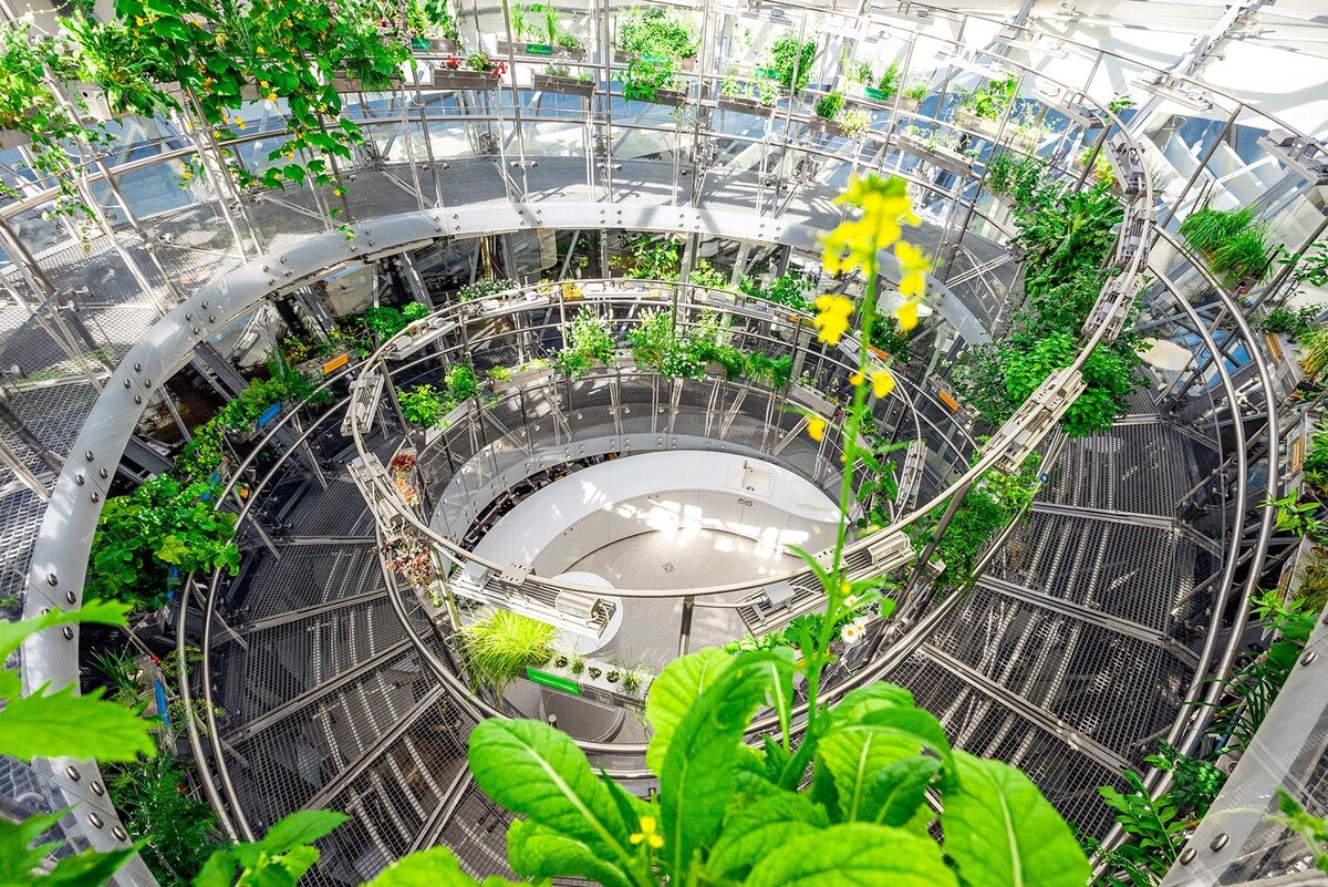 Фото: пресс-служба Департамента культуры города Москвы
