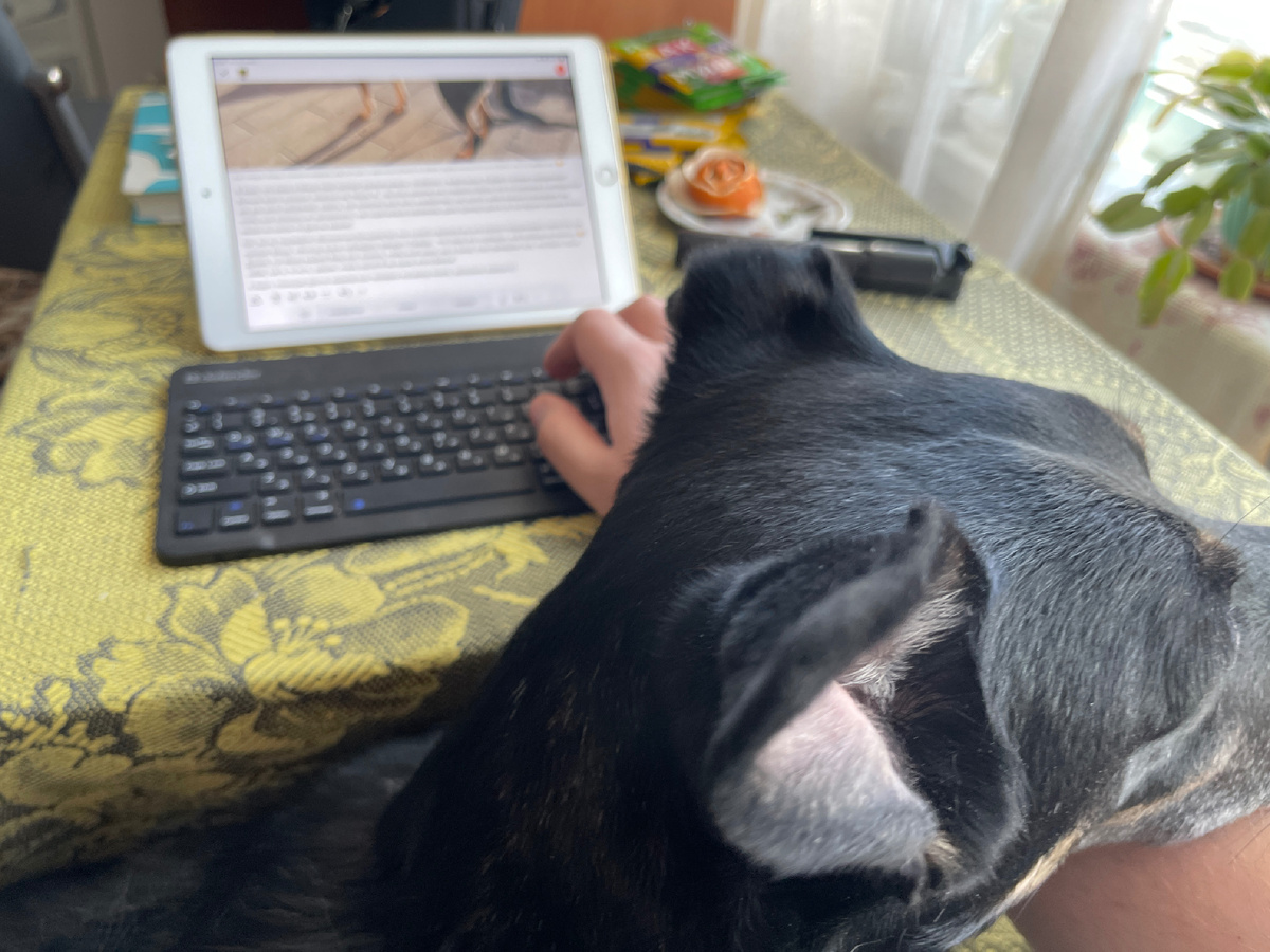 Тут я как раз активно помогаю Мише вот эту вот статью писать 😁!